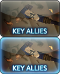 KEY ALLIES